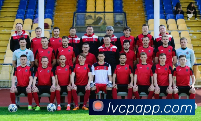 网上购彩票平台生态图